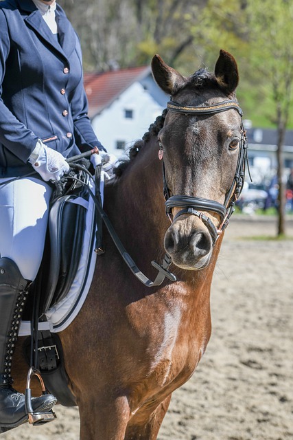 正是这样一 正是这样一