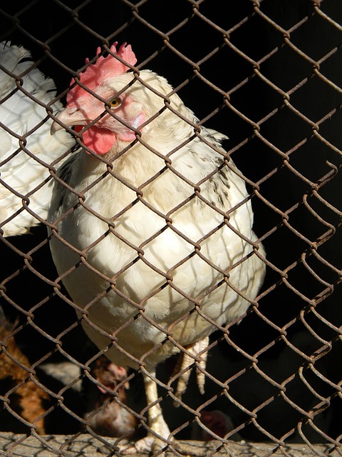 训练计划 训练计划