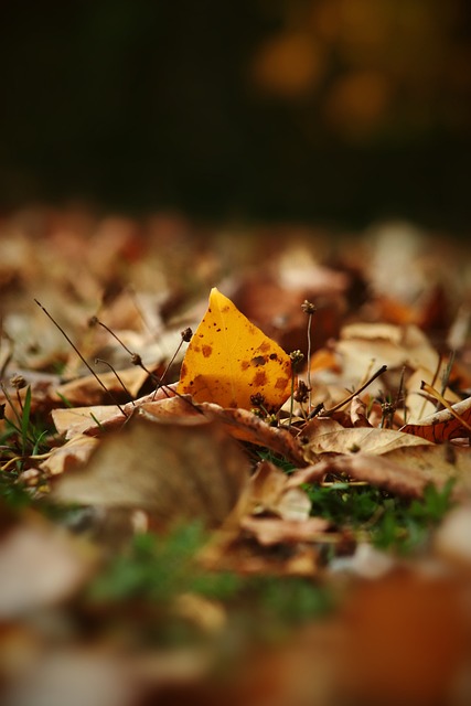 队为其护航 队为其护航