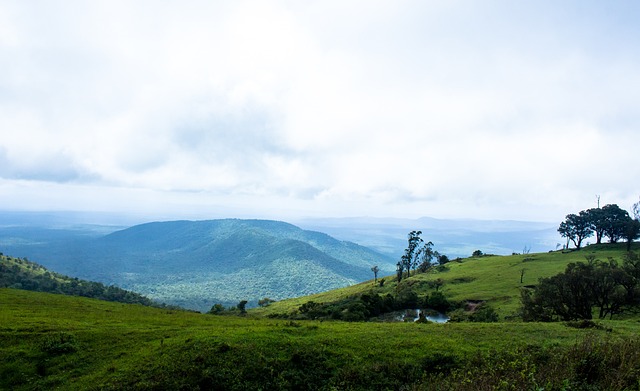 博格丹-博格达诺维奇：快船的侧翼之翼.