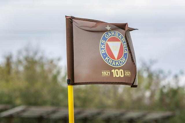 德國國家隊缺席了哪屆世界杯.