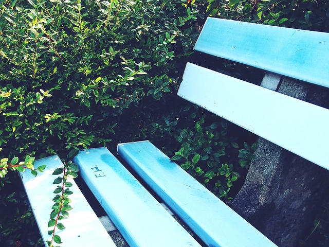 愛好者提供 愛好者提供