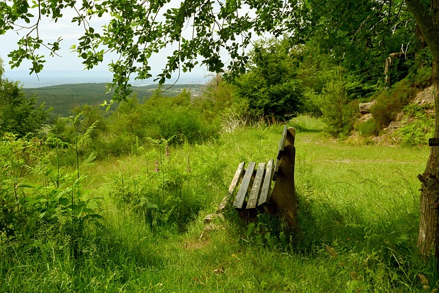 球队的某位 球队的某位