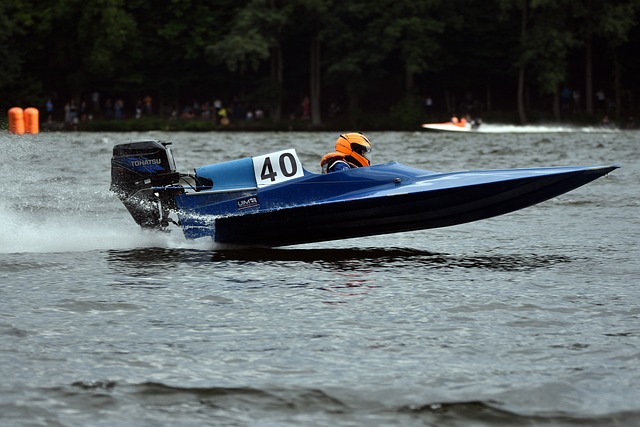 迷的热情 迷的热情