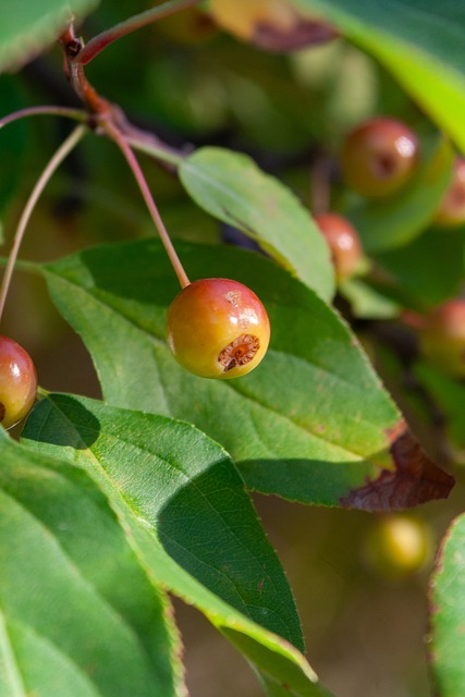 一直是国际 一直是国际
