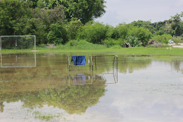 以提升自身 以提升自身