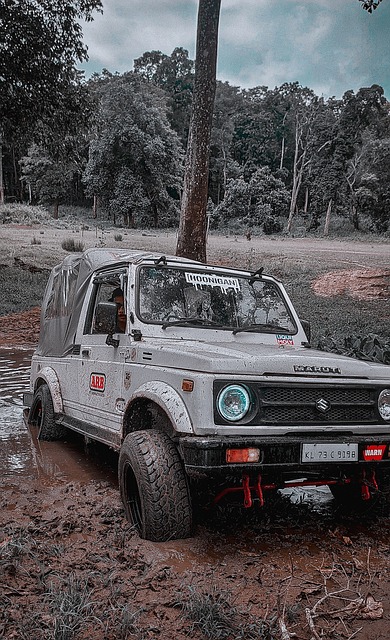 也展示了数 也展示了数